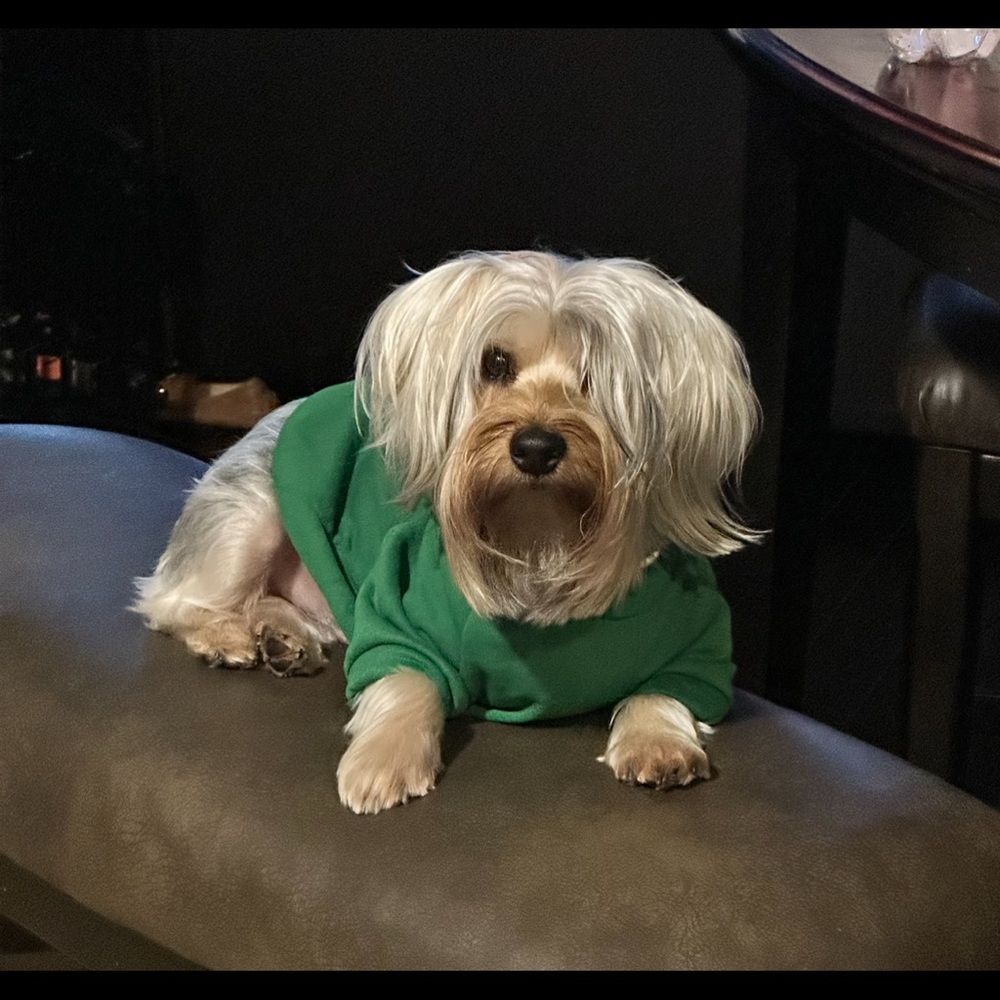 Meet your Posher, Armesha